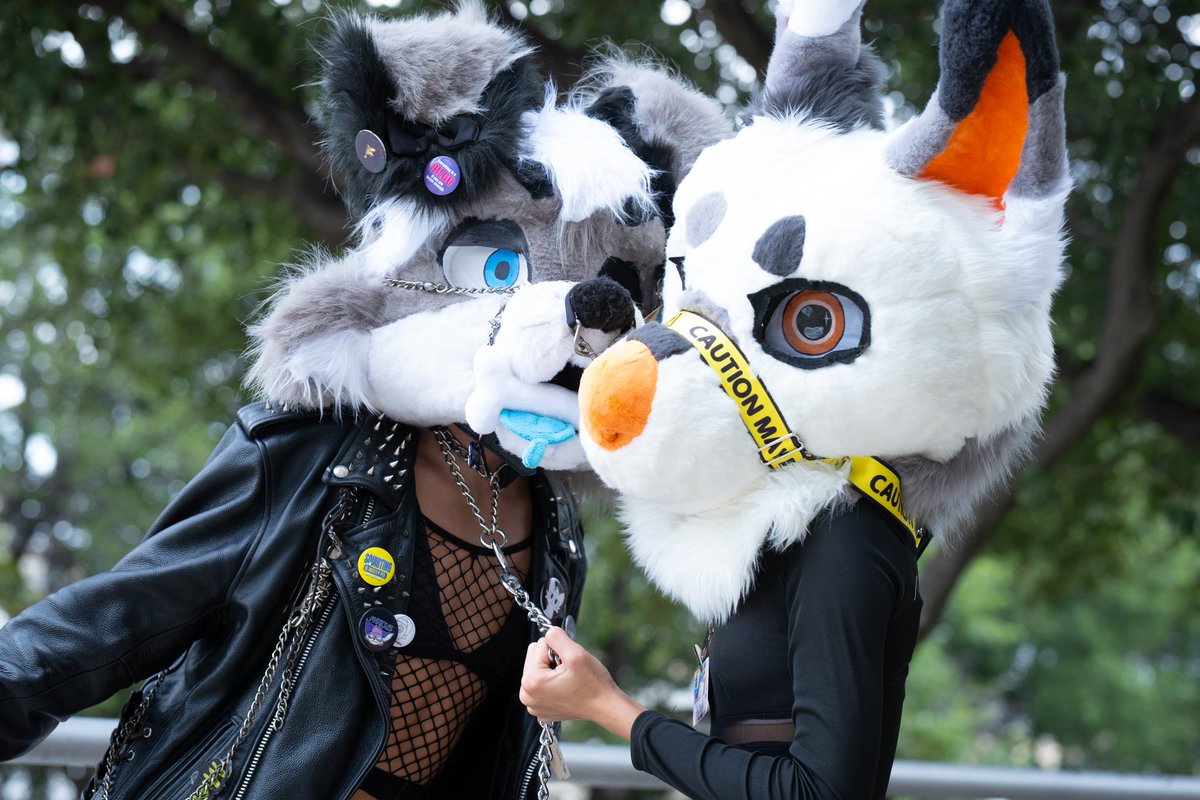 PierreRaik48489's tweet photo. TFS photos >:3 Cant wait to go again! #furry #fursuit #photography #texasfurrysiesta #tfs https://t.co/VMH2NxNbiy