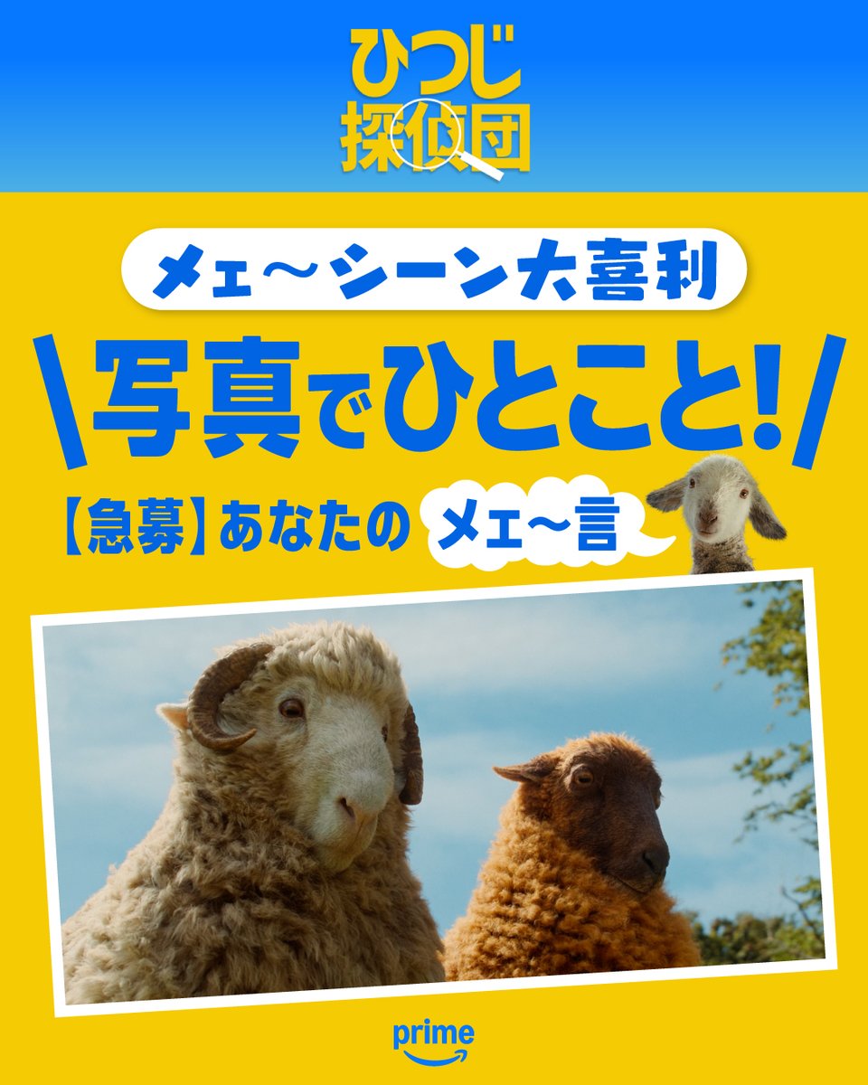 PrimeVideo_JP's tweet photo. 💬【写真で一言！】🐑
メェ〜シーン大喜利🐏꒱꒱

『ひつじ探偵団』の名コンビ
モップルとリリー

この一枚に
どんなコメントをつける！？🤔💭

📢 コメントで教えてください🐑✨
おもしろい回答、お待ちしています！

🎬プライムビデオで見放題独占配信中🐑🐏꒱꒱ 
#ひつじ探偵団 https://t.co/7hBgqhpMsy