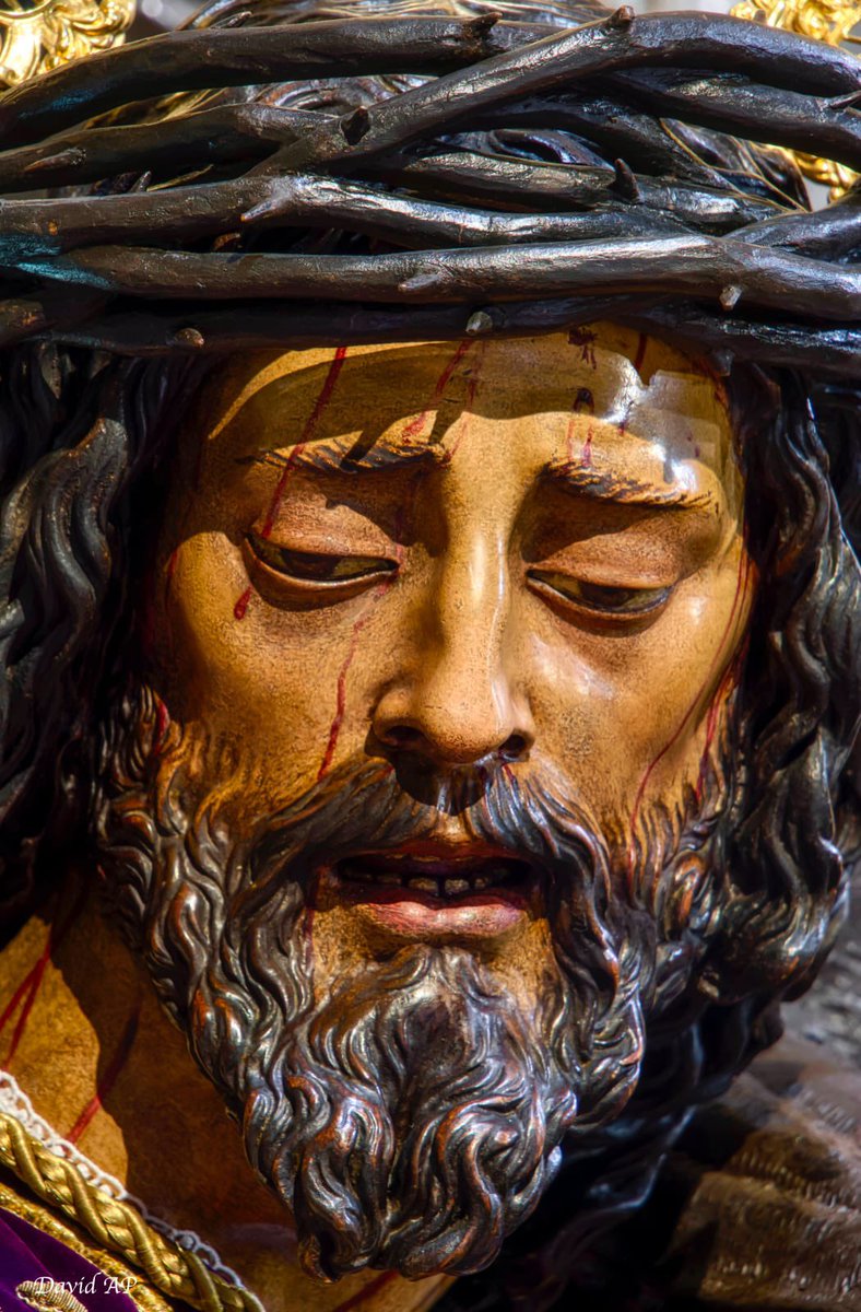 Hdad_Pasion's tweet photo. 𝐇𝐨𝐲, 𝐦𝐢𝐬𝐚 𝐝𝐞 𝐇𝐞𝐫𝐦𝐚𝐧𝐝𝐚𝐝

Hoy, día 3 de julio de 2026, primer viernes de mes, celebraremos a las 19:30 h. Exposición del Santísimo Sacramento, rezo del Santo Rosario, Preces y Reserva. A las 20 h., misa de Hermandad concluyendo con la Salve a Nuestra Madre y Señora de la Merced.

La misma será aplicada por 𝐍𝐇𝐃 𝐀́𝐧𝐠𝐞𝐥 𝐘𝐚𝐧𝐞𝐬 𝐂𝐨𝐧𝐝𝐞 𝐲 𝐍ª𝐇ª𝐃ª 𝐑𝐨𝐬𝐚 𝐆𝐨́𝐦𝐞𝐳 𝐝𝐞𝐥 𝐏𝐮𝐞𝐫𝐭𝐨.

#Pasión26
📷 @davidariaspozo 

https://t.co/r3hBVMxVR5