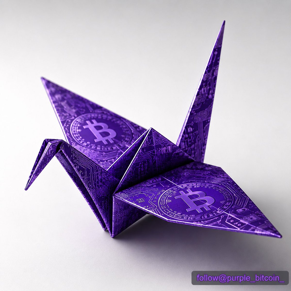coinwizz303's tweet photo. Do you see Purple Bitcoin as a meme, a movement, or something bigger? https://t.co/7XWCwi1UQN