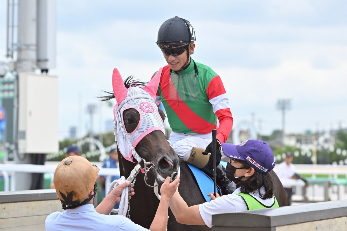 funabashi_keiba's tweet photo. 船橋3Rで行われたリアトリスデビュー2歳新馬は､2番人気セレノフィル(佐藤裕太厩舎)が逃げ切り勝ち🎊2着はフェズミント､3着はスティールビートでした｡

勝ったセレノフィルは父が
エポカドーロ､母がサクセスセレーネという血統の牝馬｡

7馬身差Vに本田正重騎手は「大人しくて余計なこともしないし､真面目な馬ですね」と笑顔を見せました☺️
おめでとうございます👏

#船橋ケイバ  #船橋競馬場