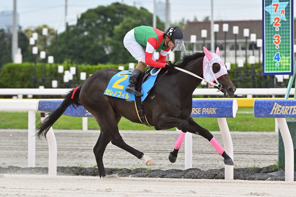 funabashi_keiba's tweet photo. 船橋3Rで行われたリアトリスデビュー2歳新馬は､2番人気セレノフィル(佐藤裕太厩舎)が逃げ切り勝ち🎊2着はフェズミント､3着はスティールビートでした｡

勝ったセレノフィルは父が
エポカドーロ､母がサクセスセレーネという血統の牝馬｡

7馬身差Vに本田正重騎手は「大人しくて余計なこともしないし､真面目な馬ですね」と笑顔を見せました☺️
おめでとうございます👏

#船橋ケイバ  #船橋競馬場