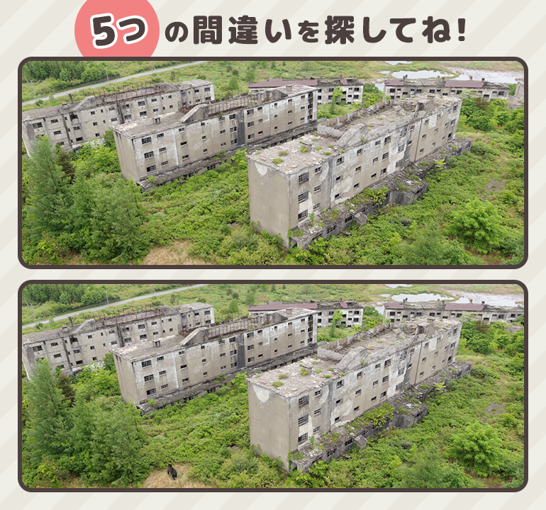 teleiwaya's tweet photo. 【間違い探しチャレンジ！】
毎週出題！気分転換や認知症予防に、ちょっと一休みしませんか？

上と下の画像では全部で５つ違う場所がありますよ👀
［画像の場所　八幡平市｜旧松尾鉱山宿舎跡］

正解は↓のリンクから！
https://t.co/Fsya3Dk8j4 https://t.co/5A0PQMaaPd