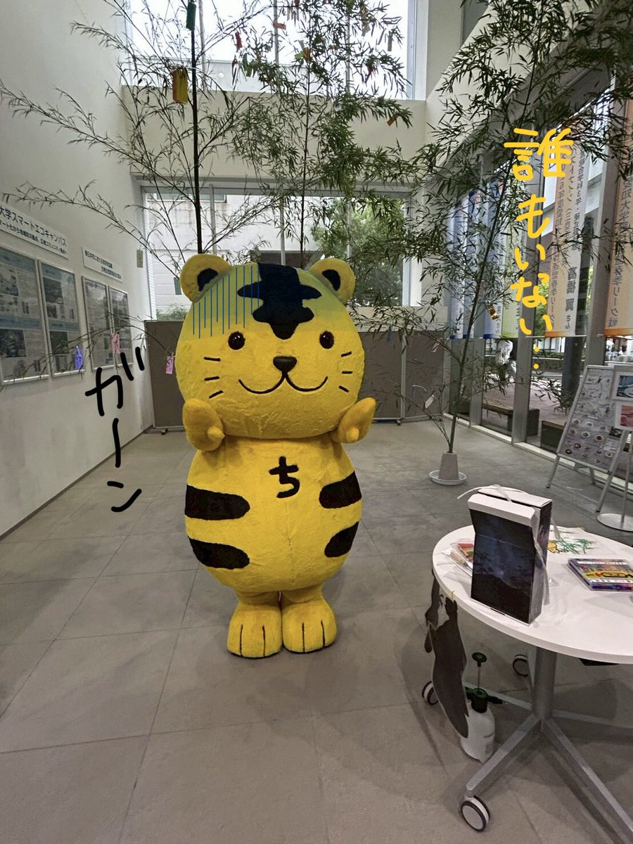 commons_chubu's tweet photo. こんにちは👋コモンズサポーターです！
ちゅとらがうきうきと不言実行館に訪れました☺️

…が、まさかの人がぜんぜんいない😭 
しょんぼり😞としたちゅとらは来週みなさんに会いに行くようです！🐾

７月６日（月）と７日（火）の17時ごろに、ちゅとらが不言実行館に遊びにきます！
#七夕 
#中部大学 https://t.co/stkmh2UJYL