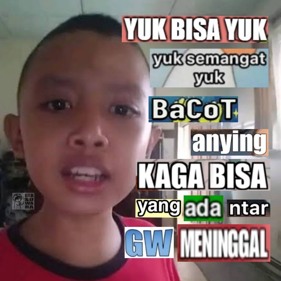 bia tweet media