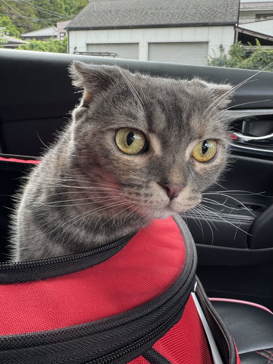 moka (@Moka0527Ramu) / Posts / X