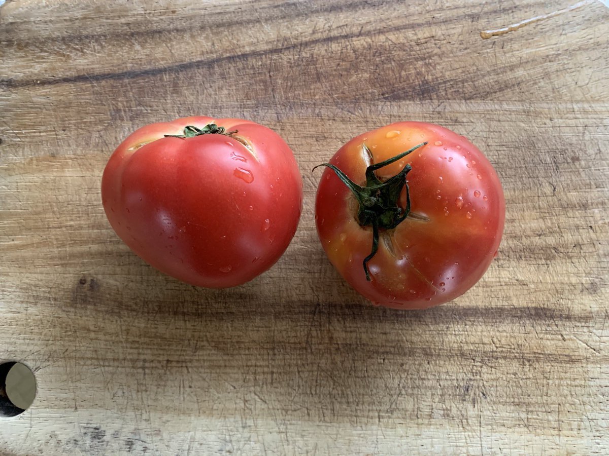 mococo321's tweet photo. 【7月が旬の野菜】

青唐辛子、明日葉、インゲン、枝豆、オクラ、キクラゲ、キュウリ、紫蘇、新生姜、ズッキーニ、つるむらさき、冬瓜、トウモロコシ、トマト、ナス、苦瓜、ニンニク、パプリカ、ミョウガ、モロヘイヤ、らっきょう、レタス

夏野菜が旬を迎えますね！
美味しくいただきましょう！ https://t.co/Z14ZyxNBP1