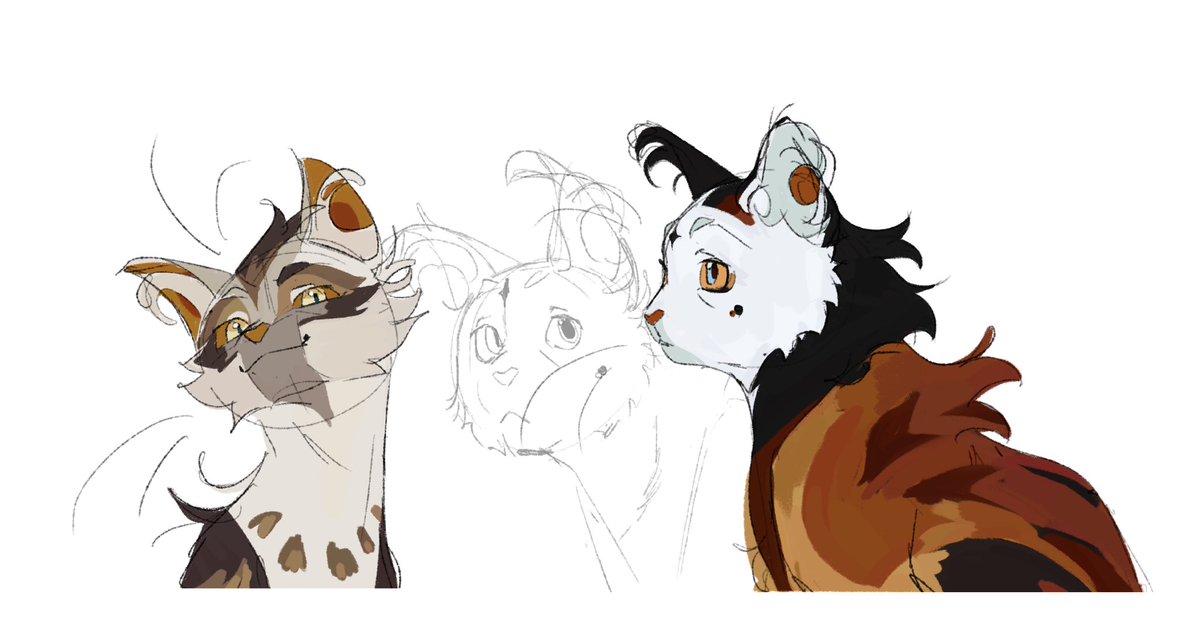 sco0byrue's tweet photo. more cats wow https://t.co/Rnxbki6wGl
