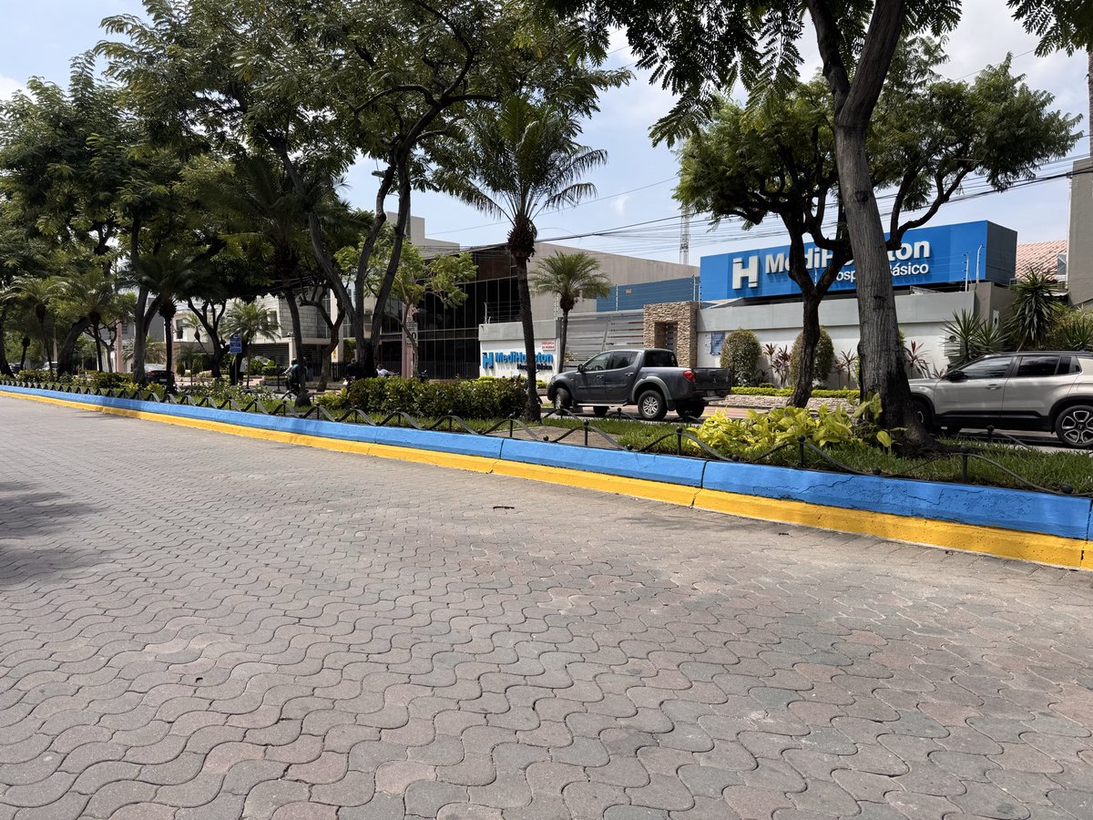 Lagransenio's tweet photo. Oda al mal gusto, los colores en que han pintado parterres centrales de #avenidaLasLomas en #Urdesa. De quien fue la idea? @alcaldiagye , hasta cuando alcaldías improvisadas hacen estas barbaridades? https://t.co/xyR73gzUul