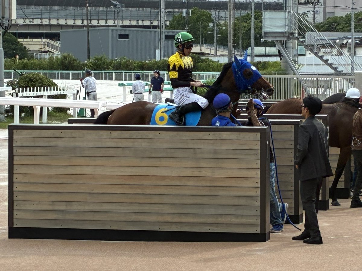 Tospo_Gondo0723's tweet photo. 今日の船橋4R・2歳新馬(1500m)は浦和・小久保厩舎で活躍中の #オピニオンリーダー の全弟 #プレミアムチーム (森泰斗厩舎)が大差の逃げ切りで危なげなく勝利しました🥇
おめでとうございます㊗️

#本橋孝太 騎手
#森泰斗 厩舎
#シニスターミニスター 産駒 https://t.co/GAvnQ5NEup
