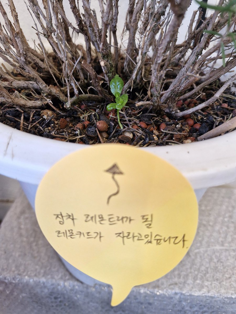 brucewillis1092's tweet photo. 크게될놈이야 https://t.co/0SHPN2HA4l