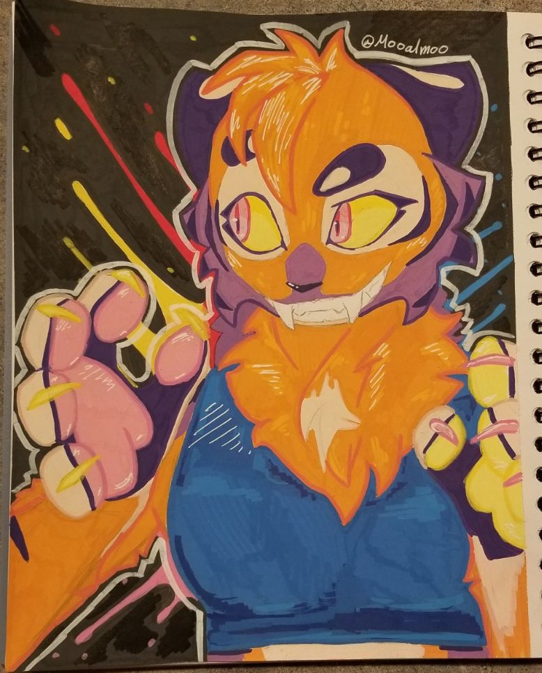 MooalAnimates's tweet photo. Attack on @blazingsprings 

#tiger #feline #art #artfight #teamcomedy https://t.co/J92g1pZNVi