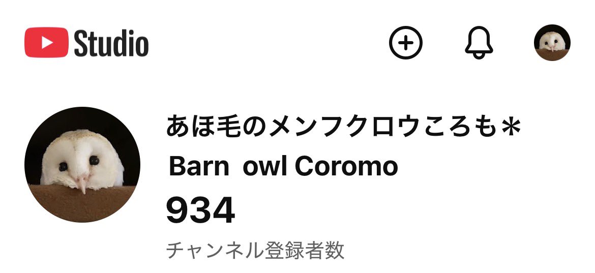 coromowl's tweet photo. 気がつけば2年ほど放置してるころもさんのYoutubeアカウント、じわじわ登録者様増えて900超えててかいぬし驚きを隠せない。笑
時間と心に余裕ができたら是非とも再開したいものです🫶
(訳:再開の意思アリなのでどんどん登録してね🦉) https://t.co/o26YLpSjtd