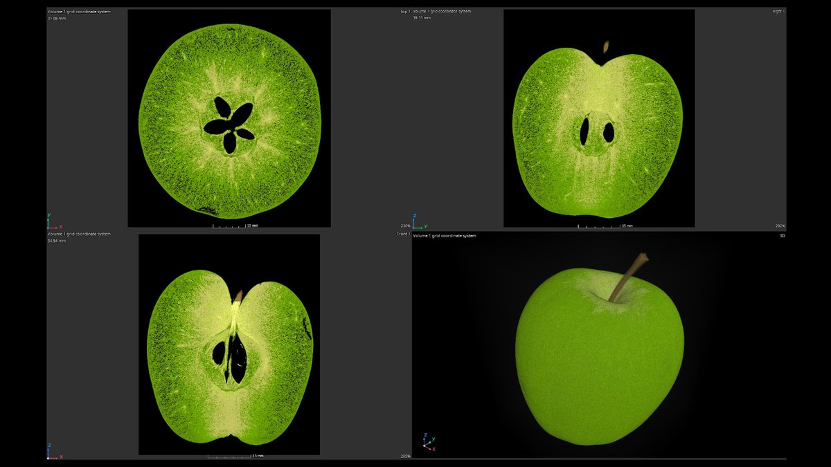 XsightXray's tweet photo. We scanned an apple.
#xsightxray #nikonmetrology #hexagon #microct #xray #industrialxray #xrayinspection #computedtomogrophy #industrialtomography #inspectionservices #3dscanning #ndt #ctscan #xrayct #qualityassurance #3drendering #industrialctscanning https://t.co/kCv9mIPHxD