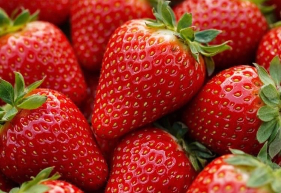 kk88kk_k's tweet photo. 🍓いちご山盛りキャンペーン🍓

フォロー＆この投稿をリポスト&amp;いいねで、甘雫農園いちご 5kg を7名様にお送りいたします。

締切:7/6 23:59まで https://t.co/b4QtONE242