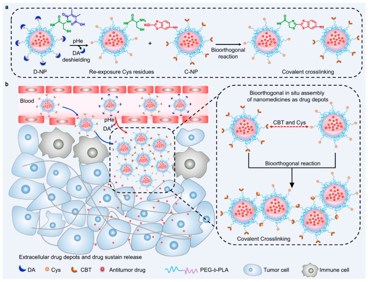 Biomed_MDPI's tweet photo. 📈 HIGHLY CITED | Influential research attracting global attention
📌 Aptamer-Based Smart Targeting and Spatial Trigger–Response Drug-Delivery Systems for Anticancer Therapy
🔗 https://t.co/3CUpJ3iDKd
#HighlyCited #ResearchImpact https://t.co/l3L7CoYrF9