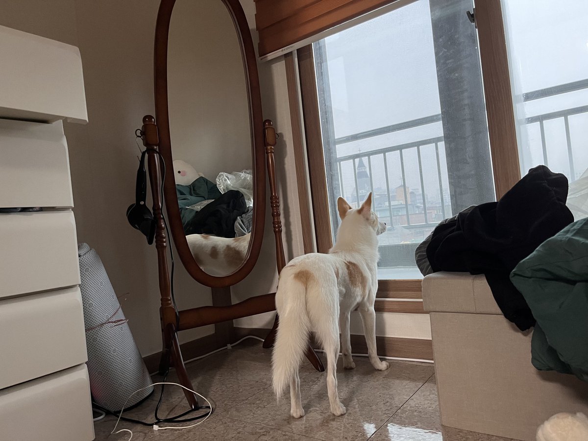 tyaxjfsla1's tweet photo. 다키웟다. . . https://t.co/enjMcQOizc