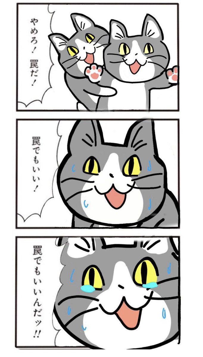 mx321com's tweet photo. @KomorebiPulse 👇あ～あ・・・😩　まんまコレじゃん https://t.co/1V3PjvEffW