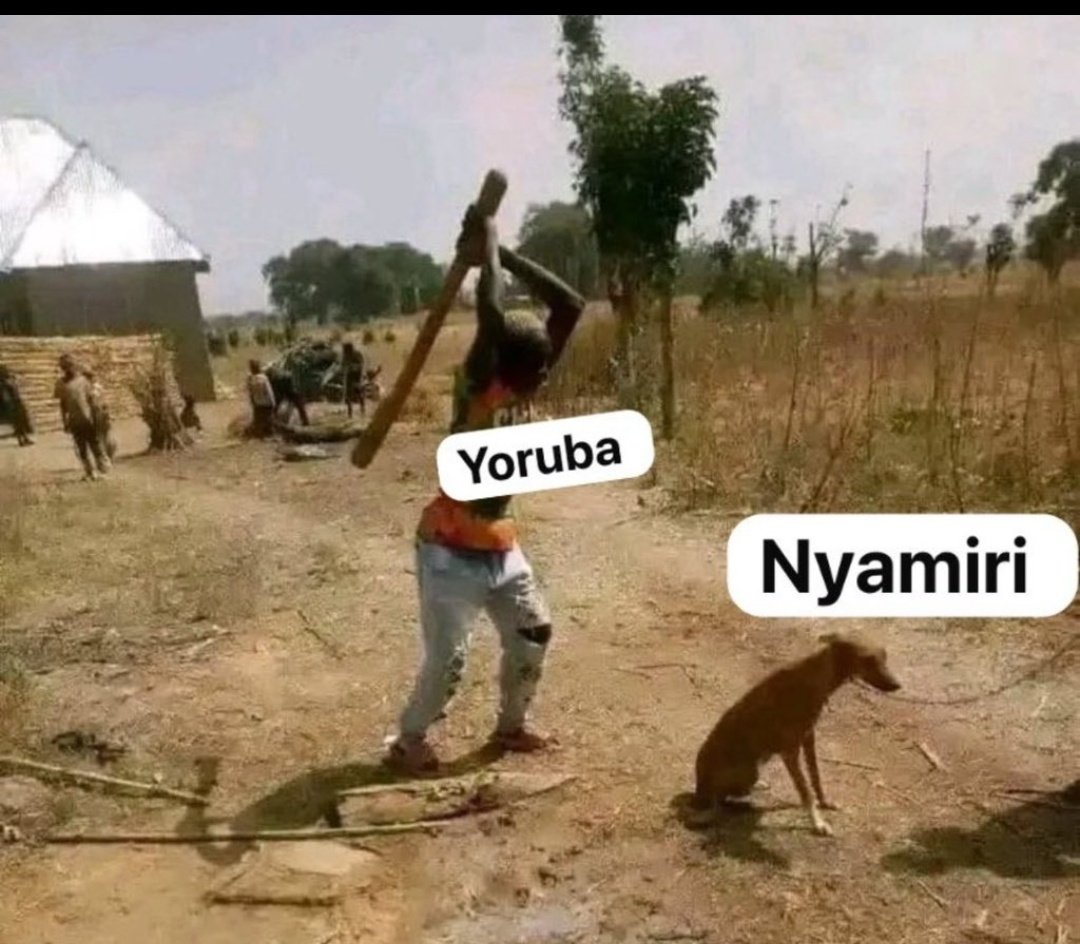 SWsecur1ty's tweet photo. @YDiegot55901 @KhamisAbiodun @Riddwane In history of Nigeria, show me just one incident of a yoruba man ever caught in lb0 land or thr north for commit a crime whereas prisons outside lb0 land are populated by lb0s https://t.co/EgJkUkFC9D