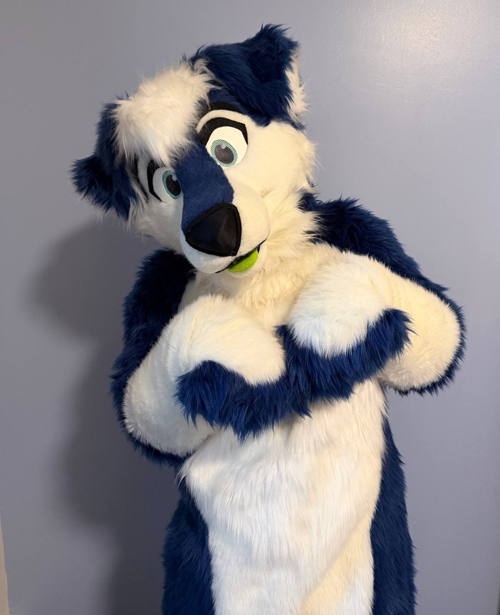 HaydoLab's tweet photo. Briefly breaking my X hiatus to say that earlier this week I acquired the beautiful Blizz from the lovely @Wolf_Elysia 💙💚 

She's a dream fursuit and I'm SO excited! I won't be posting on here so come over to the blue place for more pupdates 🐾 

#FursuitFriday
📸 @HoroBurr https://t.co/M4kHRBTADe