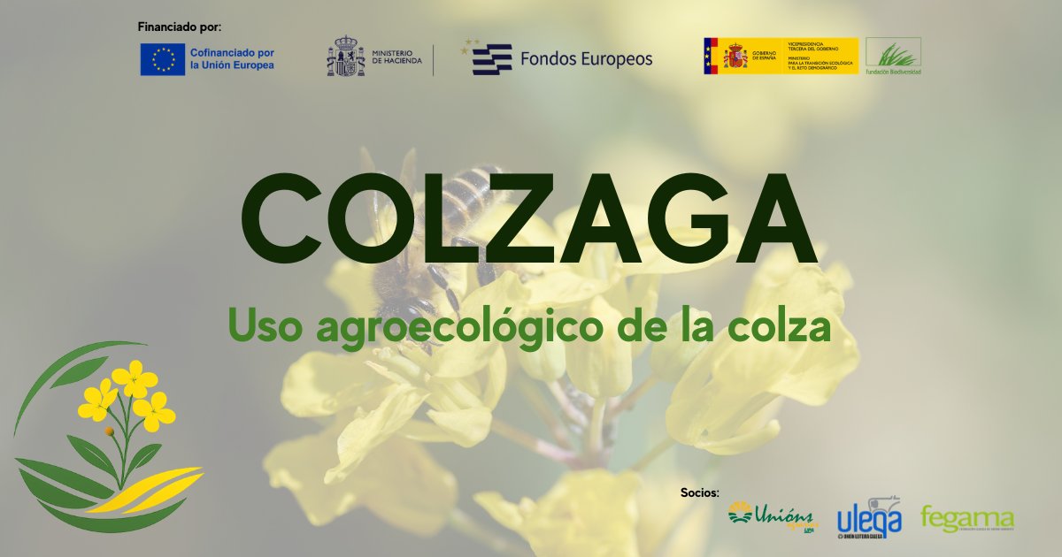 unions_agrarias's tweet photo. Favorecer la presencia de polinizadores y de vida útil en el entorno de las explotaciones ayuda a reforzar el equilibrio del sistema🐝🌼.

Proyecto impulsado con el apoyo de @FBiodiversidad del @mitecogob y cofinanciado por el Fondo Europeo de Desarrollo Regional (#FEDER). https://t.co/RZ8X2xaxzF