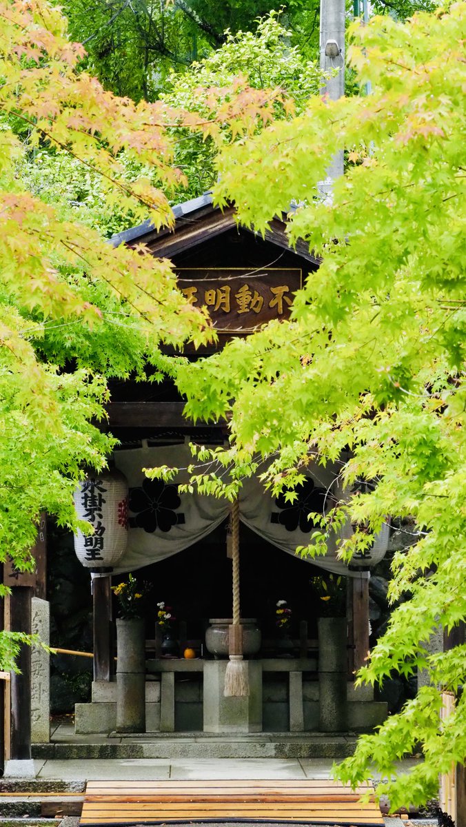 Ninna_ji's tweet photo. 嵐電北野線100周年記念 北野天満宮×総本山仁和寺×嵐電「一願成就祈願スタンプラリー」
～願いはひとつ。巡り、運び、祈りで結ぶ～

詳細は下記リンクまで
https://t.co/pMCmmM1qYl
#仁和寺 #スタンプラリー https://t.co/B6GAQ11azX