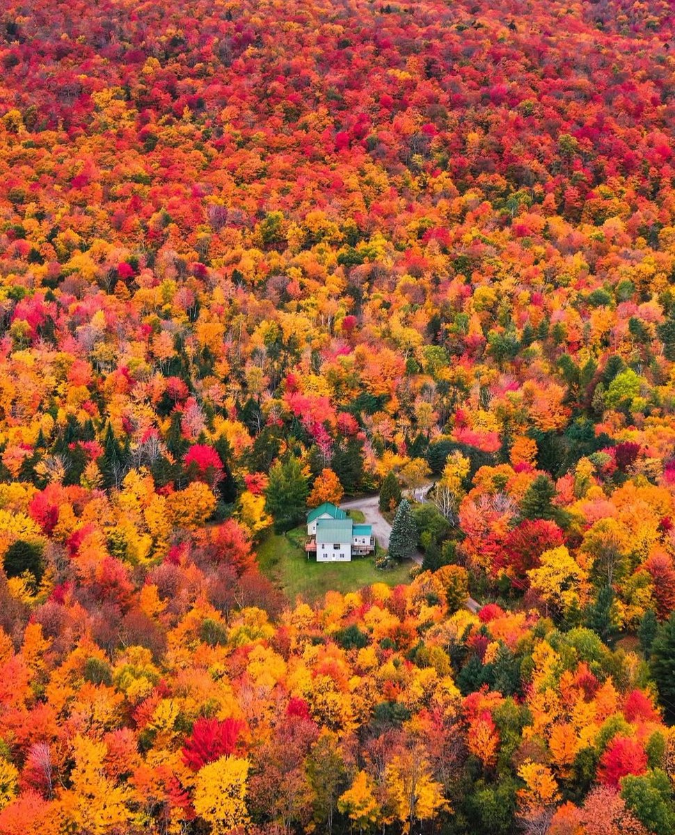 Matt_Pinner's tweet photo. Vermont 🍂🍁 https://t.co/8EWuYDB4q9
