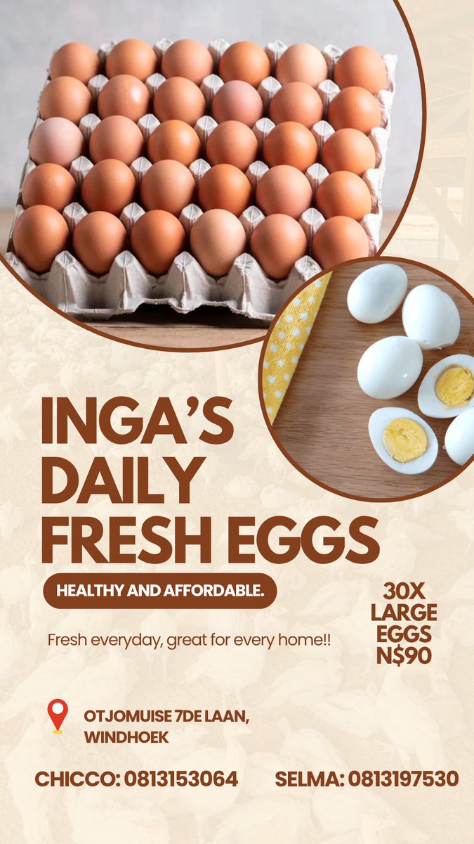 ShomokutiSk's tweet photo. I have fresh eggs available instock N$90 a tray of 30 large eggs in Windhoek ❤️ please help support my small business 🙏🏼 https://t.co/VVj6vbcO7E