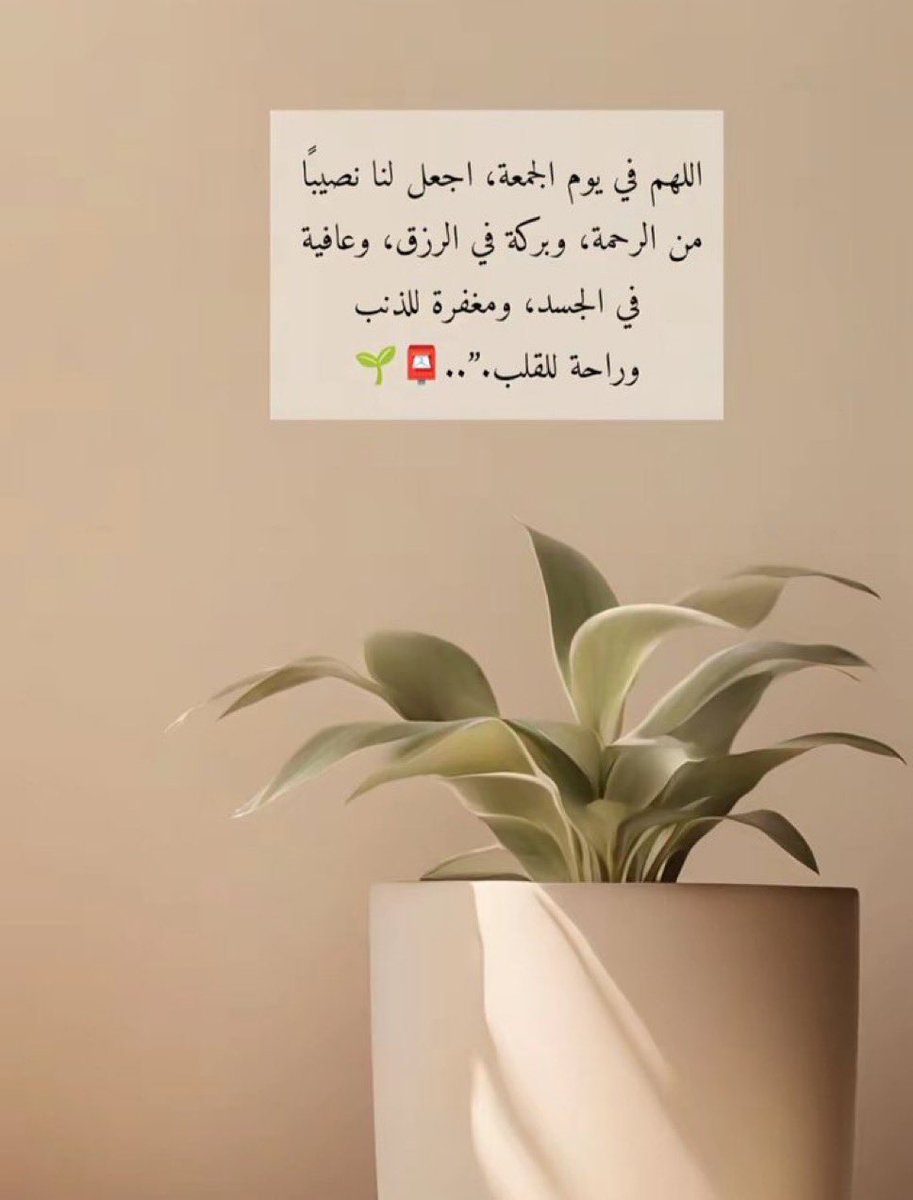 ذياب سالم بن وريقة الراشدي 🤍🇦🇪 tweet media