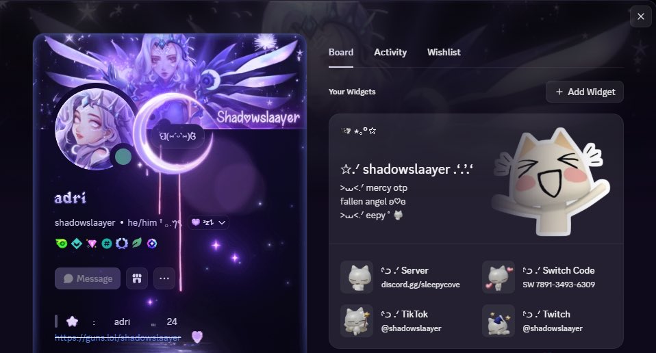shadowslaayerow's tweet photo. my custom discord widget is soo cute :p https://t.co/bessvUonGa