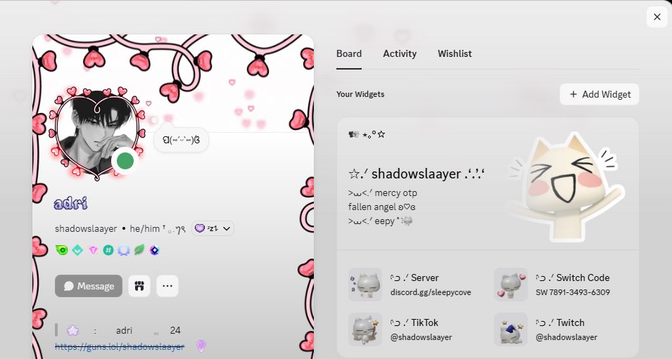 shadowslaayerow's tweet photo. my custom discord widget is soo cute :p https://t.co/bessvUonGa