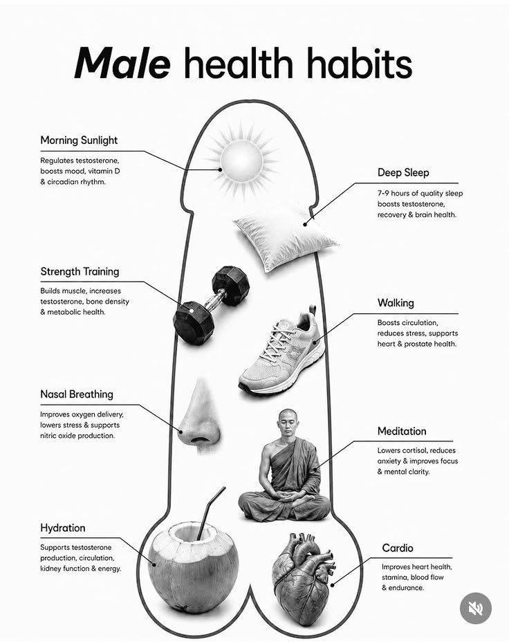 learnhealth_'s tweet photo. Male health habits https://t.co/BDOjujFuZw