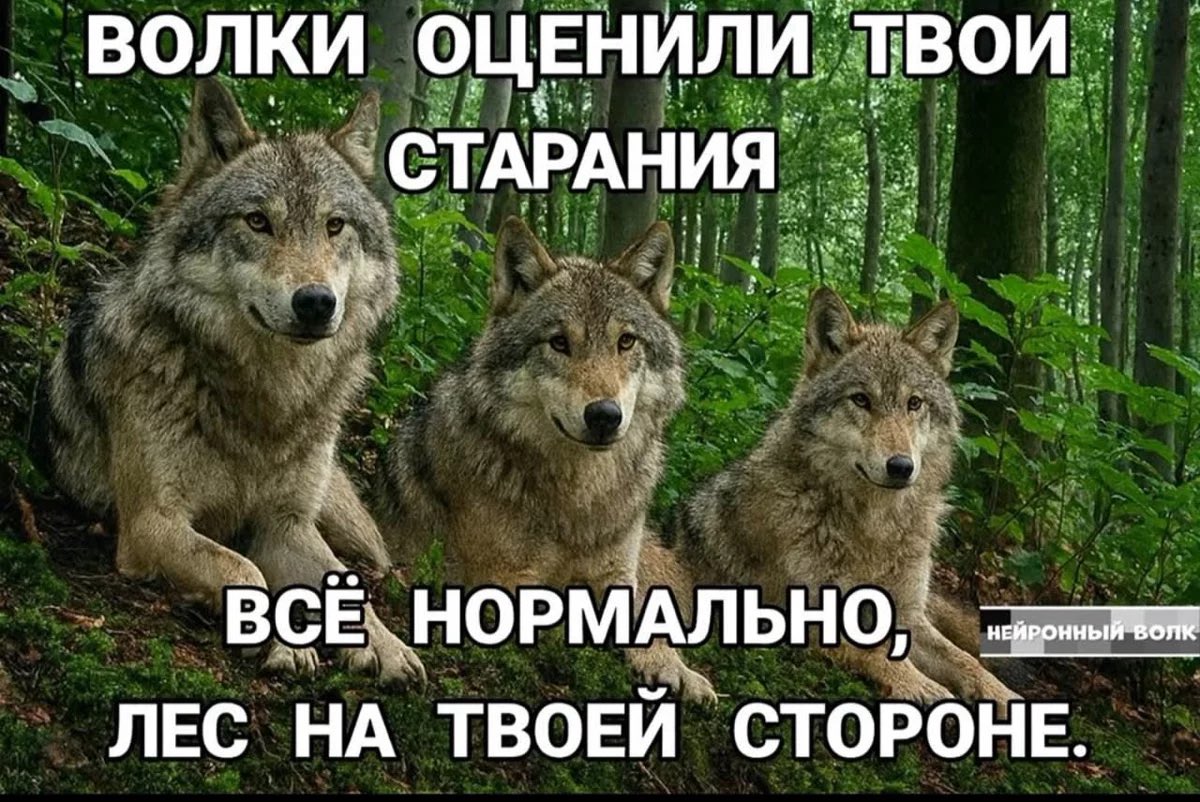 Meouwerr #BRINGBACKVALKO tweet media