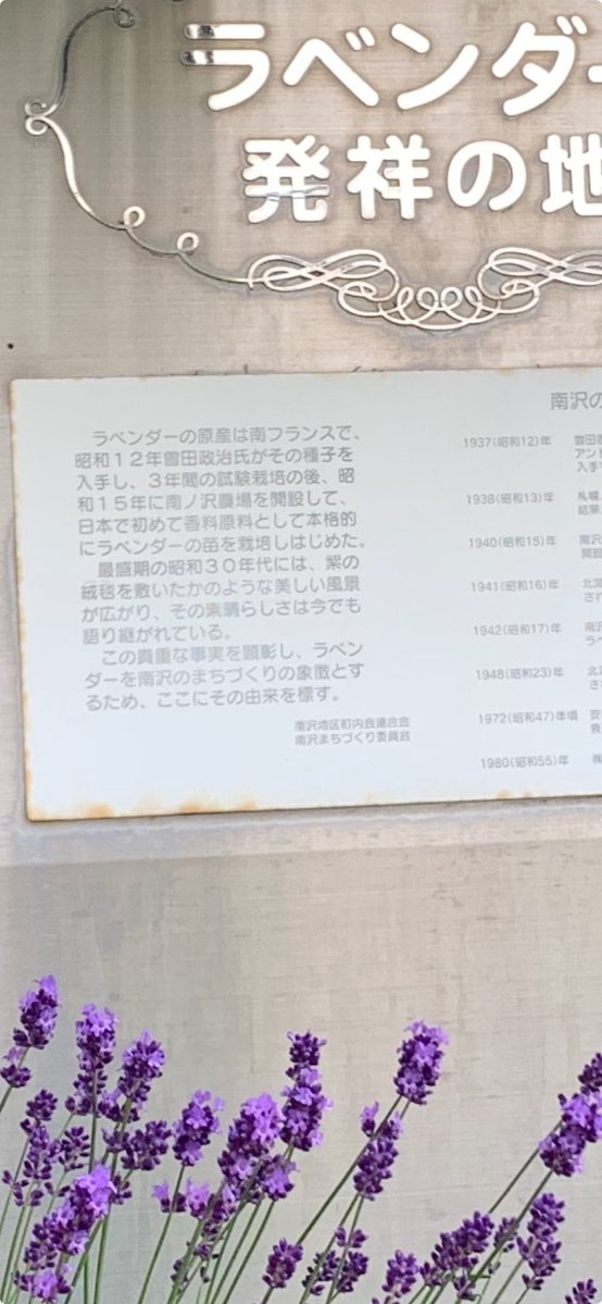 looksocia's tweet photo. 実は南区の南沢地区はラベンダーの発祥地でもあるんですよ。南区の大学ではラベンダー畑を無料で開放していたり(期間あり)、道路沿いにはたくさんのラベンダーが咲いています。初夏のラベンダーを楽しんでみてはいかがでしょうか😊
#ラベンダー
#ソシア#ソシア川沿＃メガネサロンルック https://t.co/YuwyaYIlE9