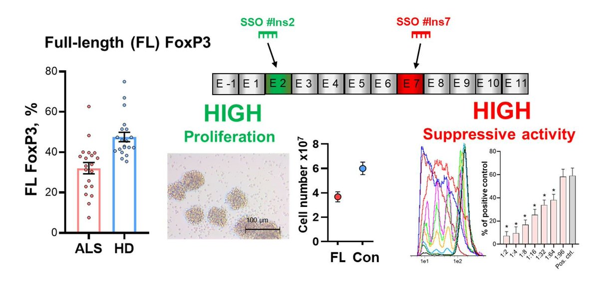 Biomed_MDPI's tweet photo. 🖼 Graphical Abstract | Explore the key findings through graphics
📌 Induction of FoxP3 Pre-mRNA Alternative Splicing to Enhance the Suppressive Activity of Regulatory T Cells from Amyotrophic Lateral Sclerosis Patients
🔗 https://t.co/srSOxMLPIJ
#VisualResearch https://t.co/4SqmBSG0Nq