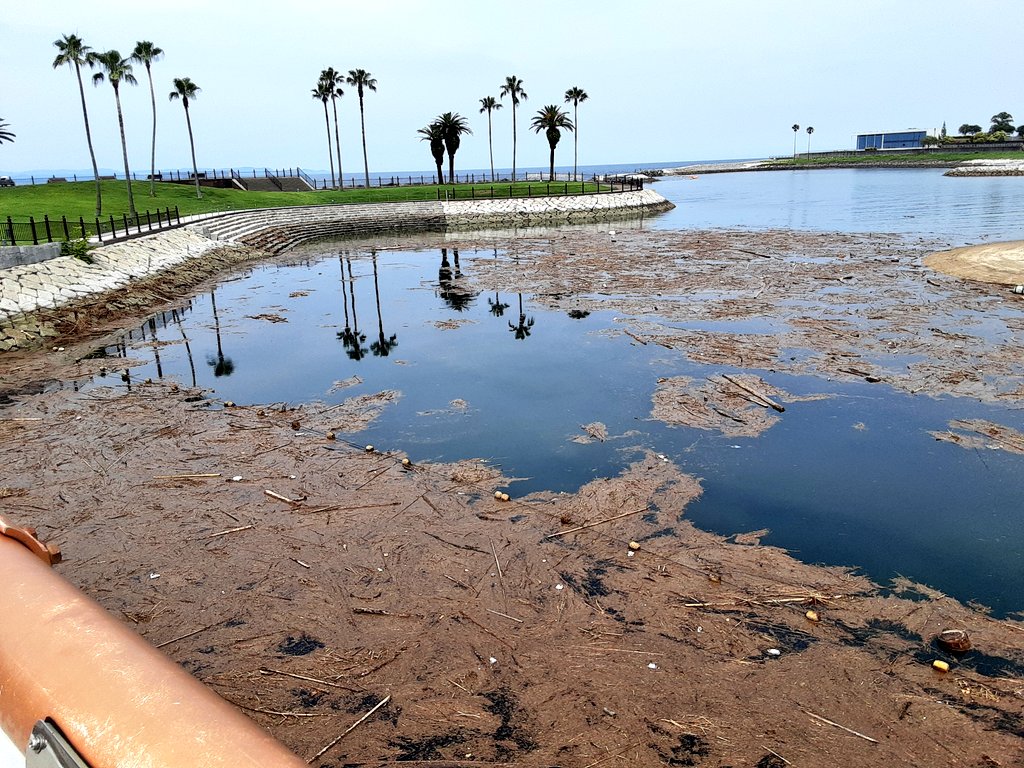 ethan0228's tweet photo. 田ノ浦ビーチに大雨で？大量の漂流物が😱しばらく遊泳禁止みたいです😓 https://t.co/NDx8MFdnXY