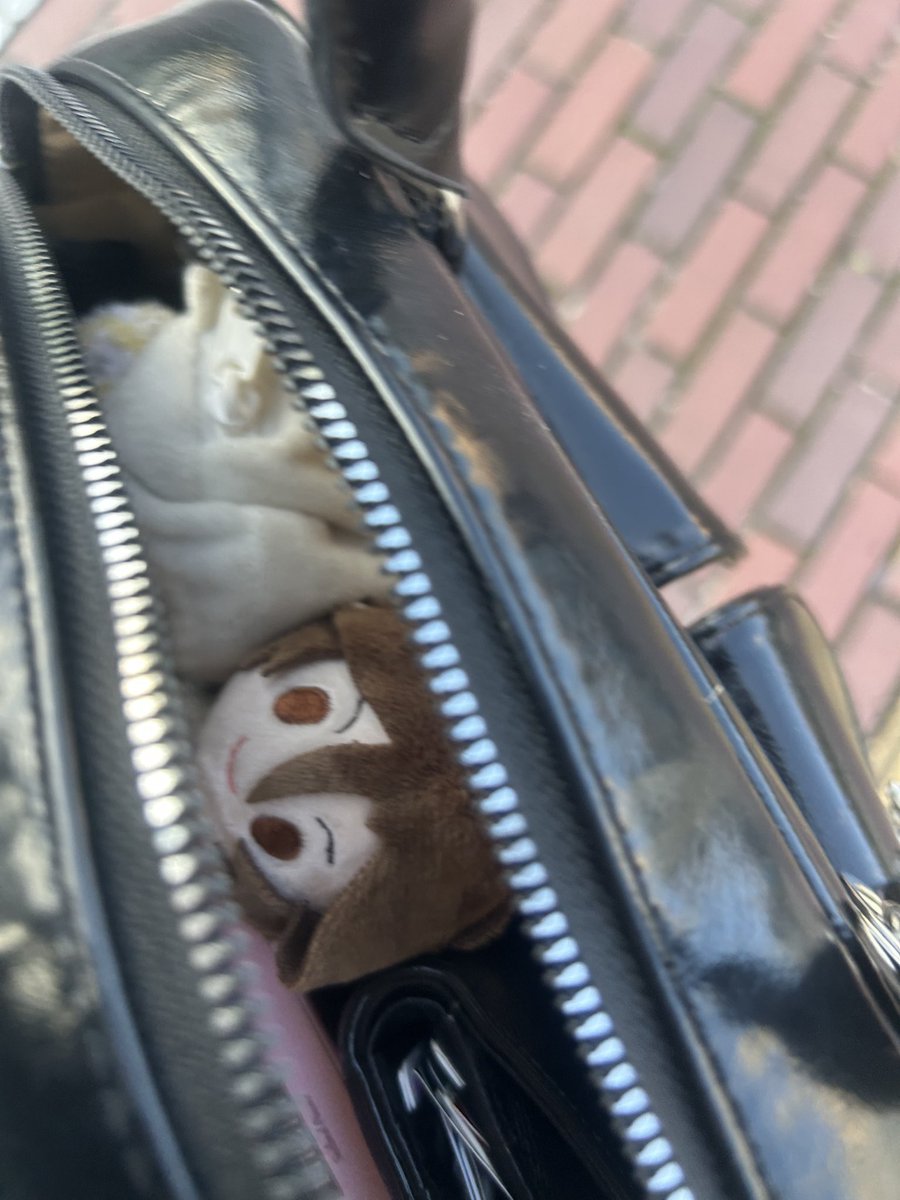 sasamirdba's tweet photo. かばんの中からひょっこりもちぎね https://t.co/JampjTAiY3