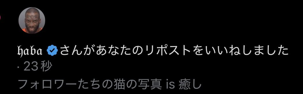 xholic_natsu's tweet photo. ネコの写真ではないので誤解なきようよろしくお願いします https://t.co/iDXcuQhmQ5