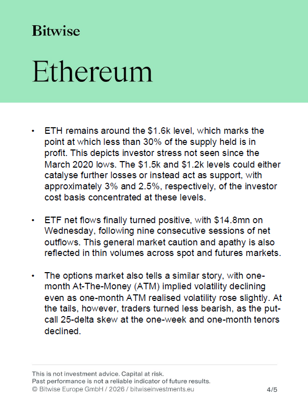 Bitwise in Europe tweet media