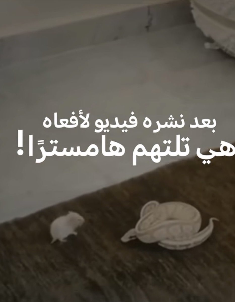 ElAzein's tweet photo. الحية اللي عم تاكل #الجنوب الحية الزرقا اللي قتلت وعم تقتل كل يوم اطفال وشباب ونساء من جنوب #لبنان ما تحركتوا ما شفنا حميتكن على الاطفال اللي تقطعت وعلى البيوت اللي تهدمت ما شفنا مظاهرة ولا وقفة حتى كرمالن بس الهامستر حرااام عرصات ضد الانسانية https://t.co/QNfDsDd1lt
