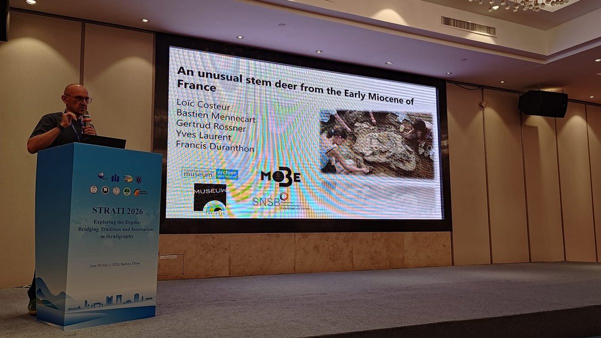 JURASSICAMuseum's tweet photo. Our #Neogene research team have been presenting their work this week at the 5th International Congress on Stratigraphy (#STRATI2026) in Suzhou 🇨🇳! An opportunity to share our latest research & exchange ideas with colleagues #fossilfriday https://t.co/ACOSm1dWwI