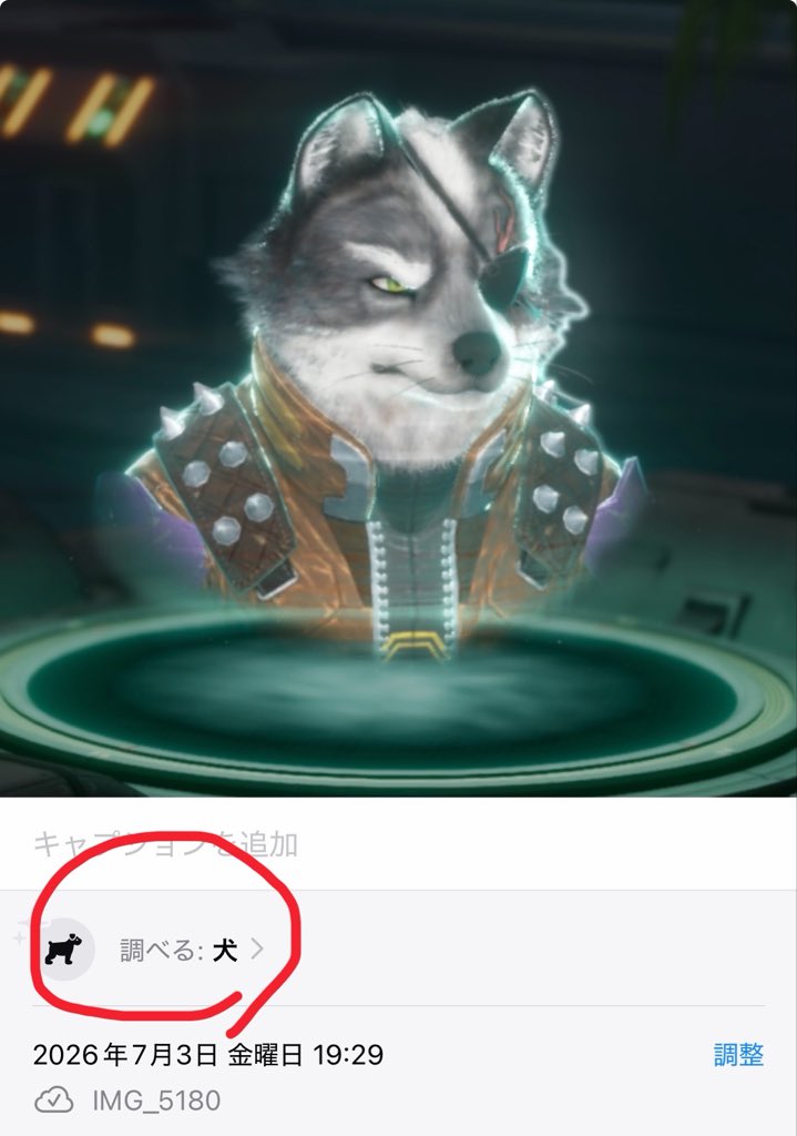w_o_donnell's tweet photo. 犬て
#starfox https://t.co/7LMmfJEoYV