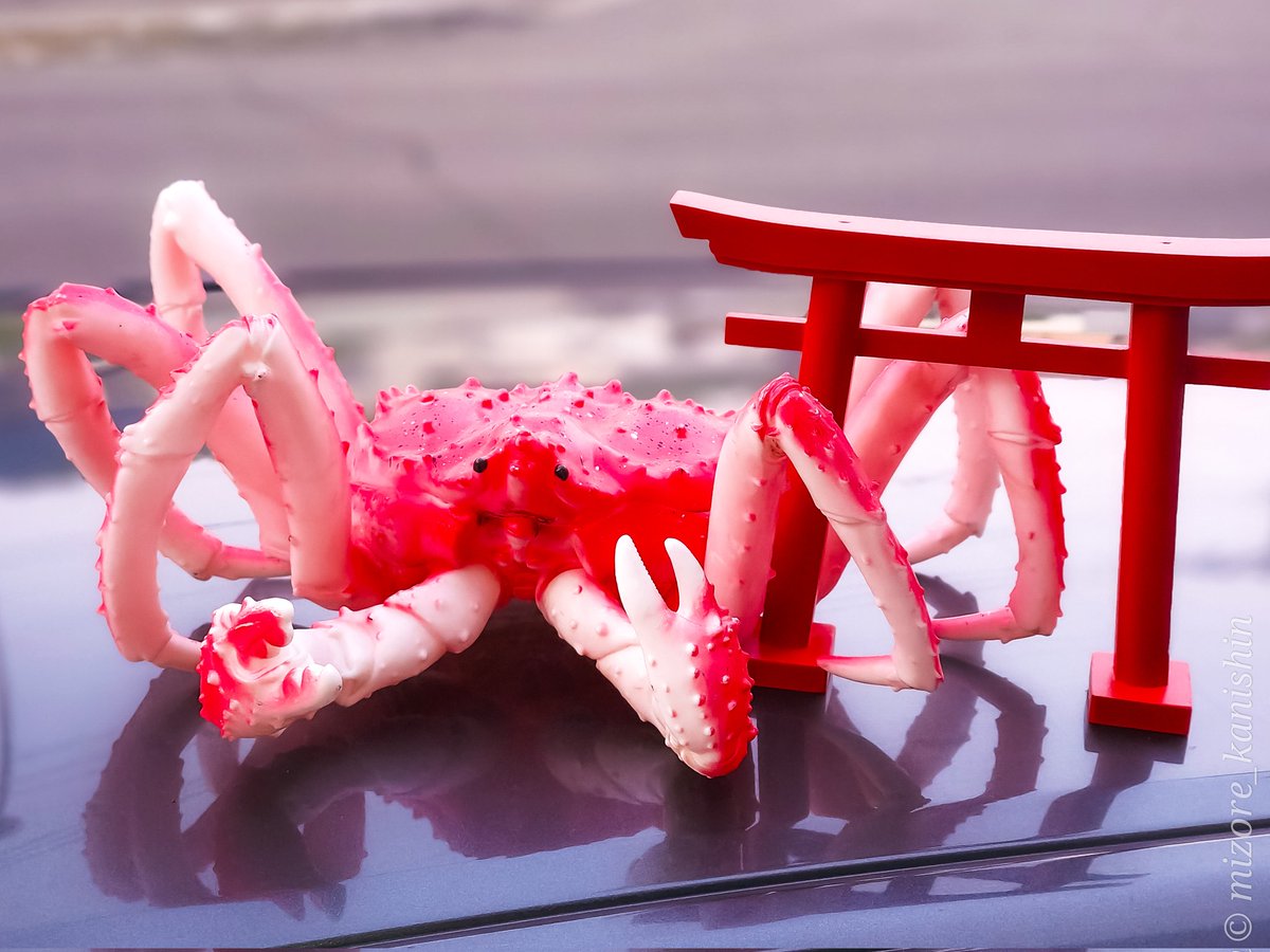 久しぶりにちゃんと撮った蟹神