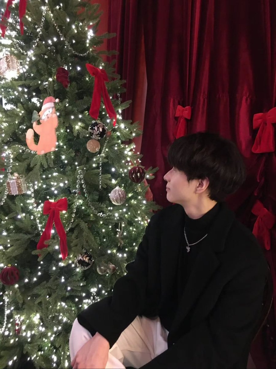 padosiso0's tweet photo. 여러분 지금 당장 한솔님 인스타로 달려가서 초귀염상어를 봐주세요 https://t.co/dvwz6byqu5