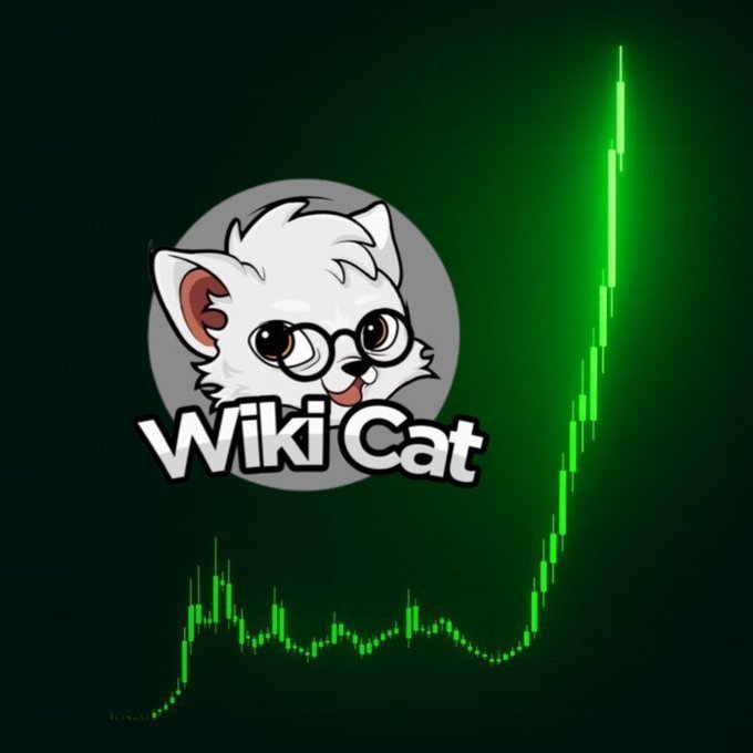 belikedonvic's tweet photo. $WKC https://t.co/IU4bFPYsrh
