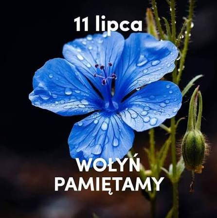 niepokorny81's tweet photo. @AnkaFanka7777 https://t.co/mbV41BdY10