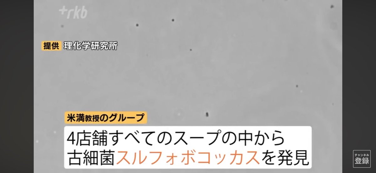 hikaruganji's tweet photo. 豚骨ラーメンのクサイうまいラーメンは、微生物が発酵していた臭いでした。
豚骨ラーメンは発酵ラーメンです。 https://t.co/7aUaJW7Kre