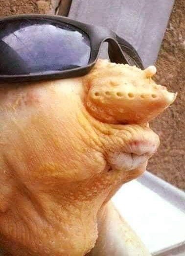 JazzNutrition's tweet photo. Verguelio, ¿eres tú?
Confirma.
C.c
.@virgiliohernand https://t.co/mqB43Bl43Y