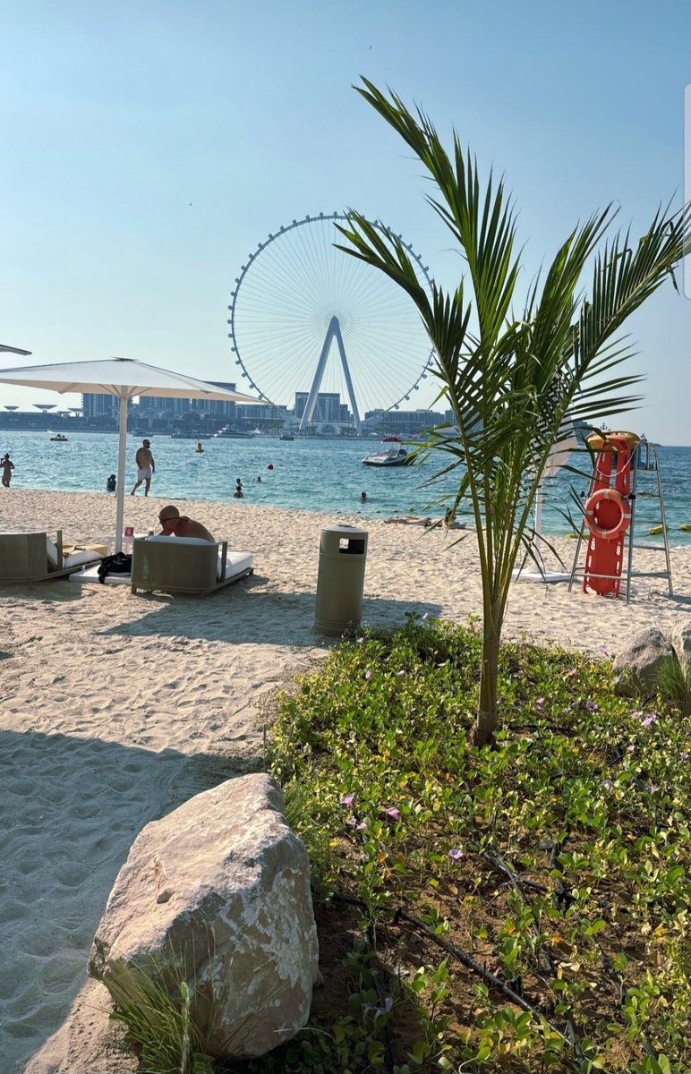 farahalkurdii's tweet photo. Come lick the sand from my feet..
#dubaimistress https://t.co/lP6RcJCpeo
