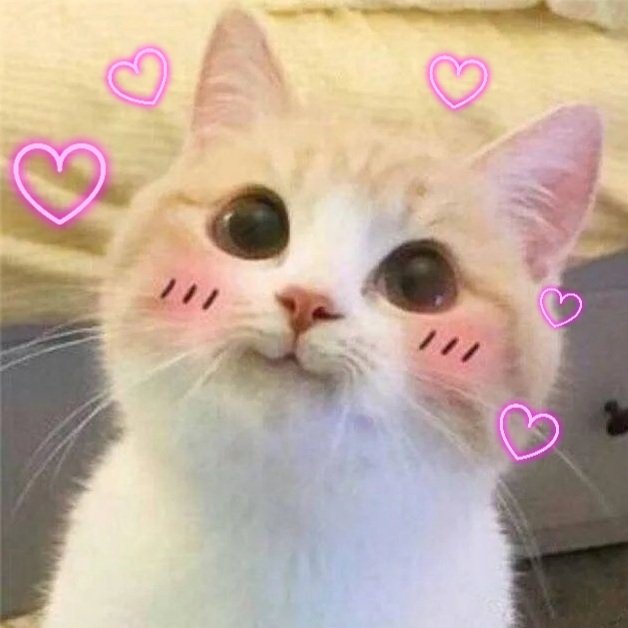 LarchSpring's tweet photo. @_SUGA_OF_BTS 🥰🥰🥰🥰 https://t.co/13OGvnulag